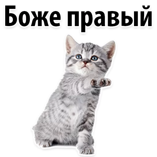 Sticker from the "Молодёжный сленг" sticker pack