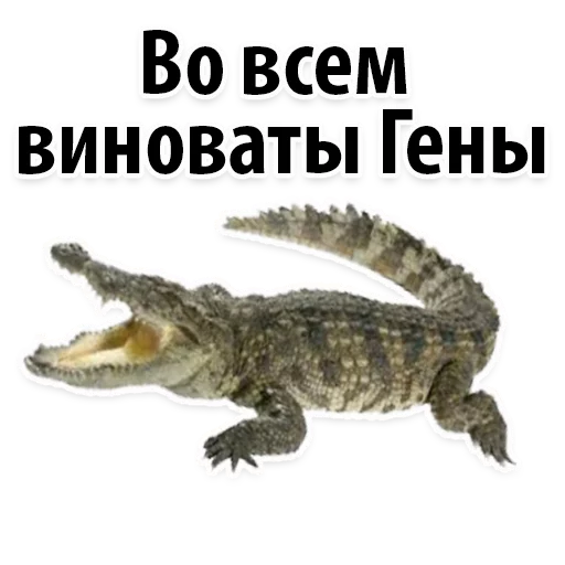 Sticker from the "Молодёжный сленг" sticker pack