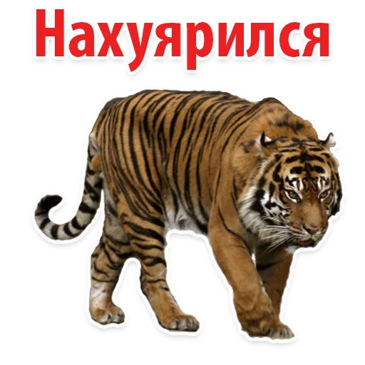 Sticker from the "Молодёжный сленг" sticker pack