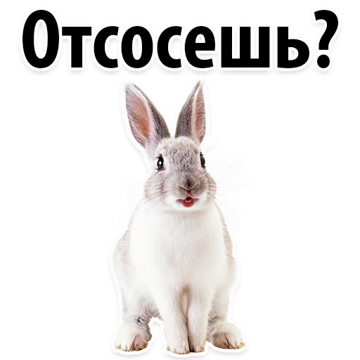 Sticker from the "Молодёжный сленг" sticker pack