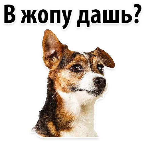 Sticker from the "Молодёжный сленг" sticker pack