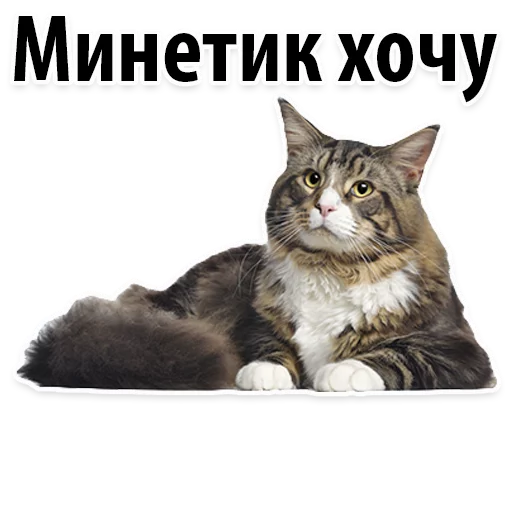 Sticker from the "Молодёжный сленг" sticker pack