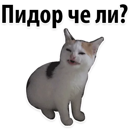 Sticker from the "Молодёжный сленг" sticker pack