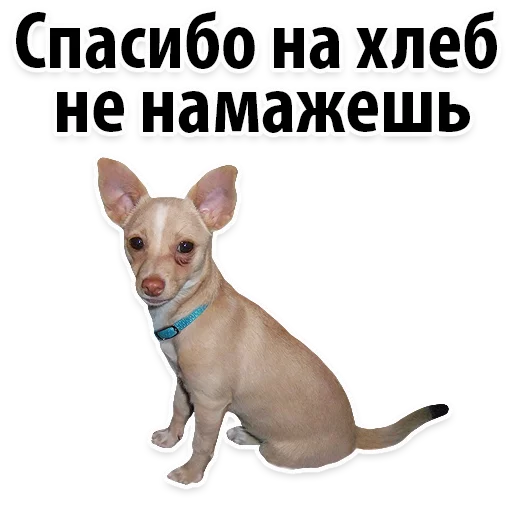 Sticker from the "Молодёжный сленг" sticker pack