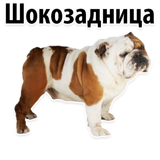 Sticker from the "Молодёжный сленг" sticker pack