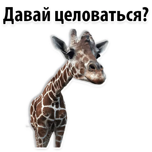 Sticker Молодёжный сленг