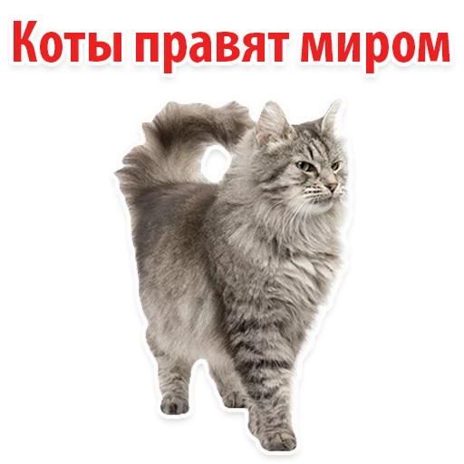 Sticker Молодёжный сленг