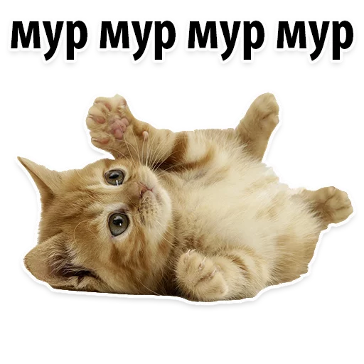 Sticker Молодёжный сленг