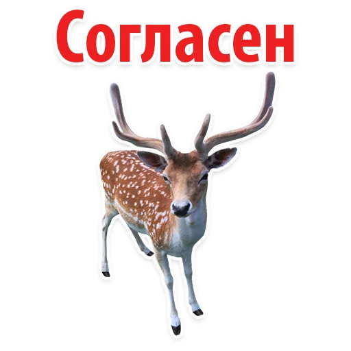 Sticker from the "Молодёжный сленг" sticker pack