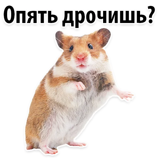 Sticker Молодёжный сленг