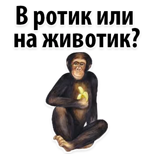 Sticker from the "Молодёжный сленг" sticker pack