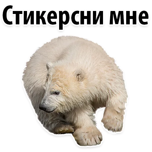 Sticker Молодёжный сленг