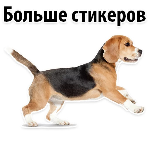 Sticker from the "Молодёжный сленг" sticker pack