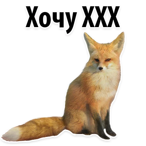 Sticker Молодёжный сленг