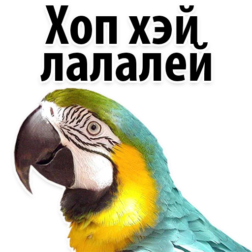 Sticker from the "Молодёжный сленг" sticker pack