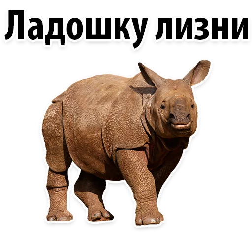 Sticker Молодёжный сленг