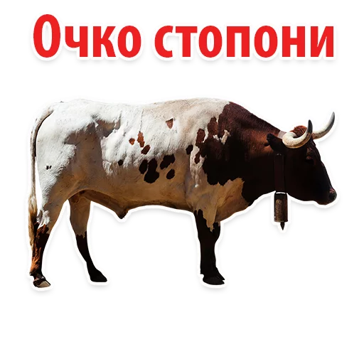 Sticker Молодёжный сленг