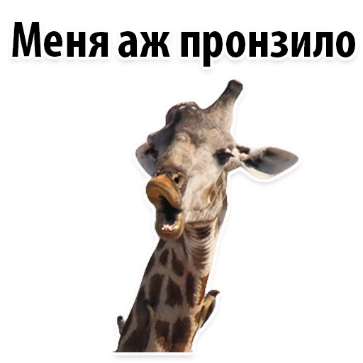 Sticker from the "Молодёжный сленг" sticker pack