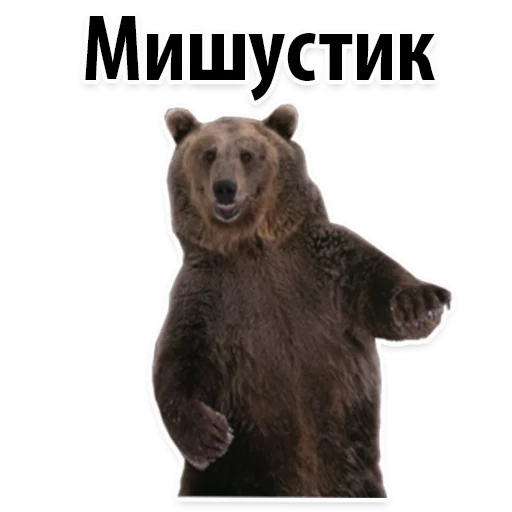 Sticker from the "Молодёжный сленг" sticker pack