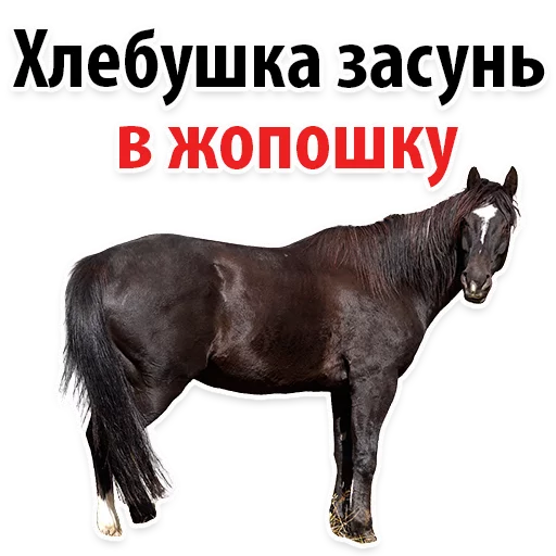 Sticker from the "Молодёжный сленг" sticker pack