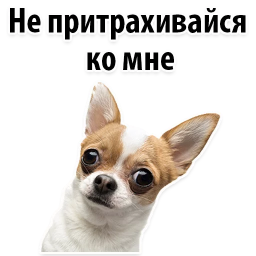 Sticker Молодёжный сленг