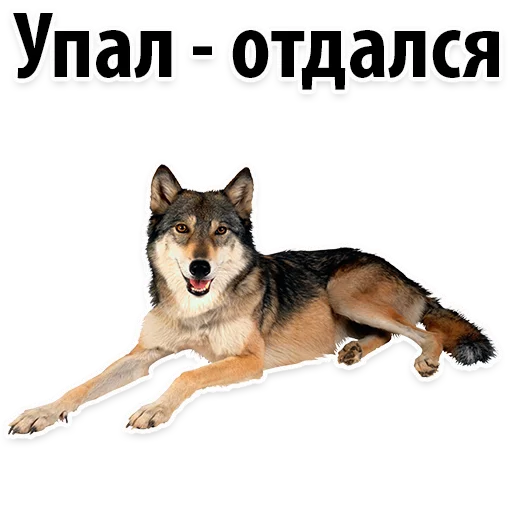 Sticker from the "Молодёжный сленг" sticker pack