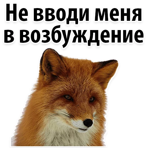 Sticker Молодёжный сленг