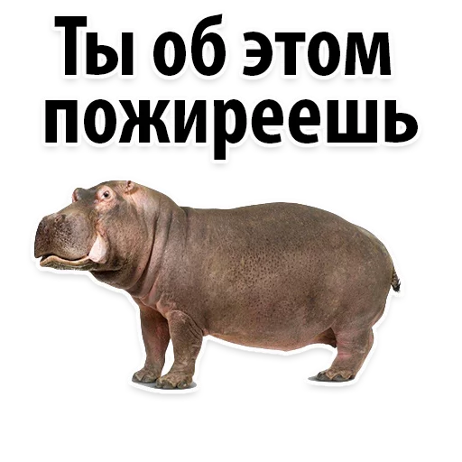 Sticker Молодёжный сленг