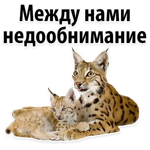 Sticker Молодёжный сленг