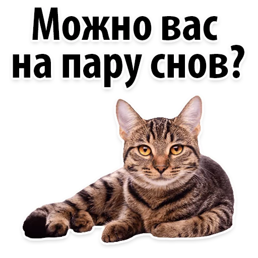 Sticker Молодёжный сленг