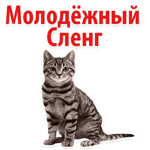 Sticker from the "Молодёжный сленг" sticker pack