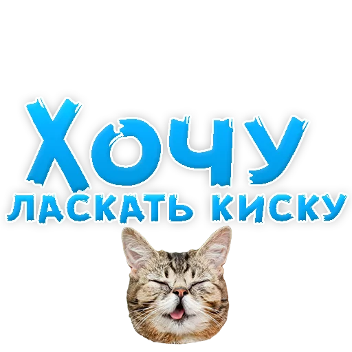 Sticker from the "В РОТИК или на ЖИВОТИК 2?" sticker pack