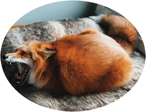 Sticker from the "Fox" sticker pack