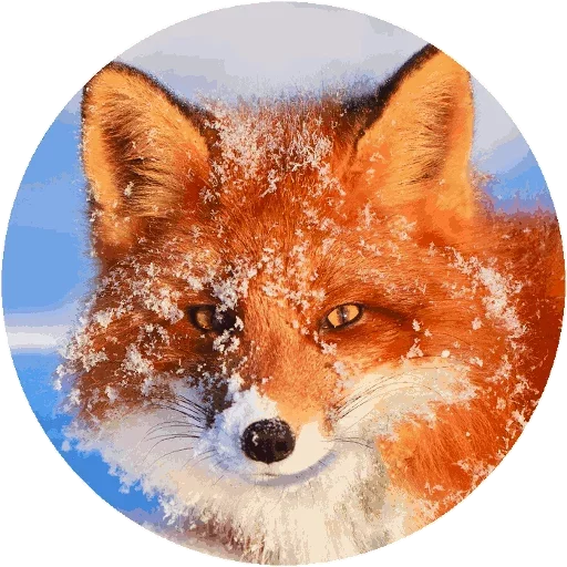 Sticker from the "Fox" sticker pack