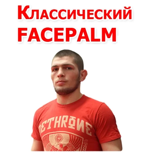 Sticker from the "Хабиб Нурмагомедов & Конор Макгрегор" sticker pack