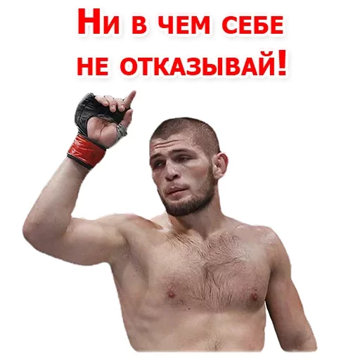 Sticker from the "Хабиб Нурмагомедов & Конор Макгрегор" sticker pack