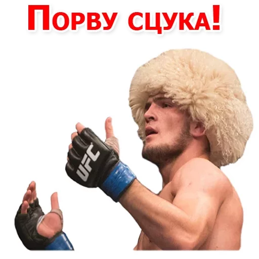 Sticker from the "Хабиб Нурмагомедов & Конор Макгрегор" sticker pack