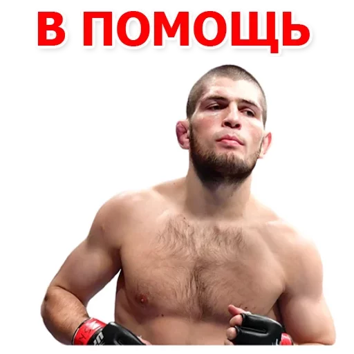 Sticker from the "Хабиб Нурмагомедов & Конор Макгрегор" sticker pack