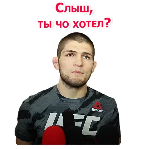 Sticker from the "Хабиб Нурмагомедов & Конор Макгрегор" sticker pack