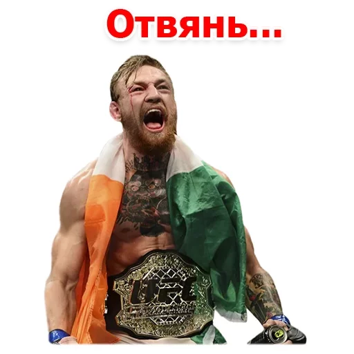 Sticker from the "Хабиб Нурмагомедов & Конор Макгрегор" sticker pack