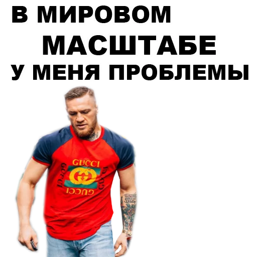 Sticker from the "Хабиб Нурмагомедов & Конор Макгрегор" sticker pack