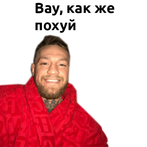 Sticker from the "Хабиб Нурмагомедов & Конор Макгрегор" sticker pack