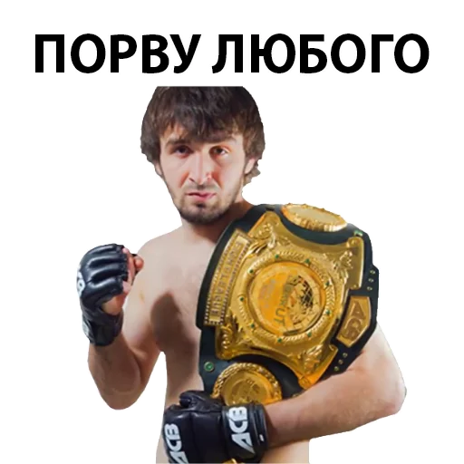 Sticker from the "Хабиб Нурмагомедов & Конор Макгрегор" sticker pack