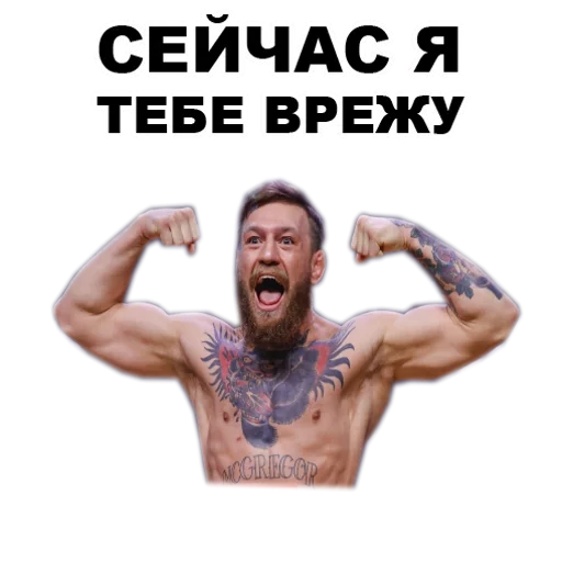 Sticker from the "Хабиб Нурмагомедов & Конор Макгрегор" sticker pack