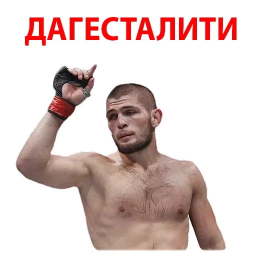 Sticker from the "Хабиб Нурмагомедов & Конор Макгрегор" sticker pack