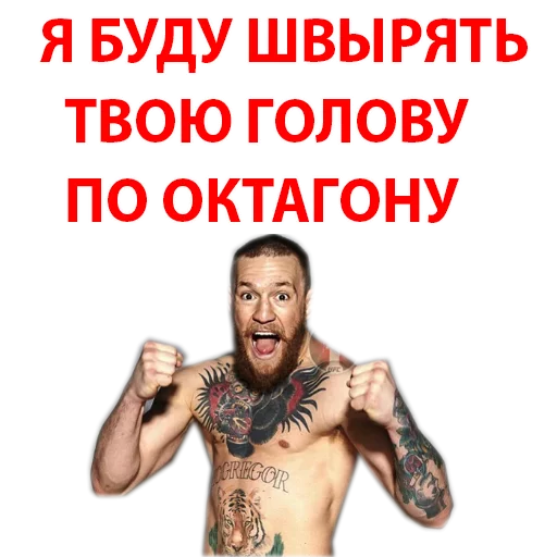 Sticker from the "Хабиб Нурмагомедов & Конор Макгрегор" sticker pack