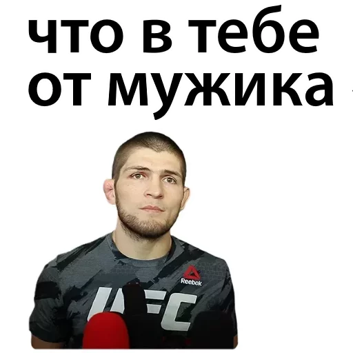 Sticker from the "Хабиб Нурмагомедов & Конор Макгрегор" sticker pack