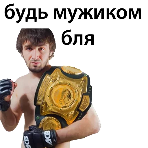 Sticker from the "Хабиб Нурмагомедов & Конор Макгрегор" sticker pack