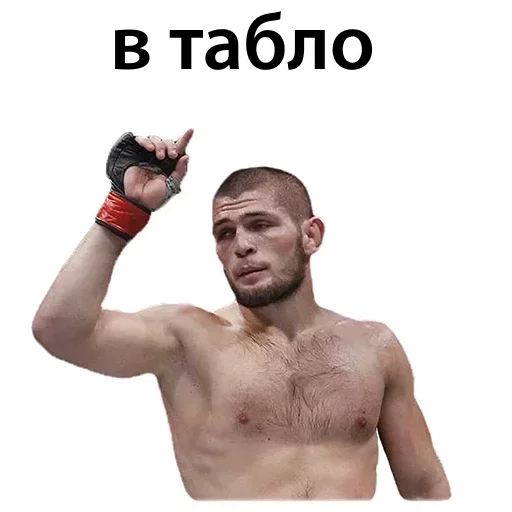 Sticker from the "Хабиб Нурмагомедов & Конор Макгрегор" sticker pack