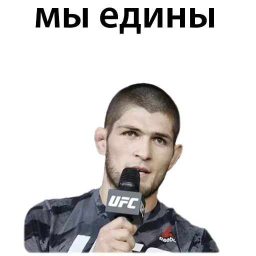 Sticker from the "Хабиб Нурмагомедов & Конор Макгрегор" sticker pack